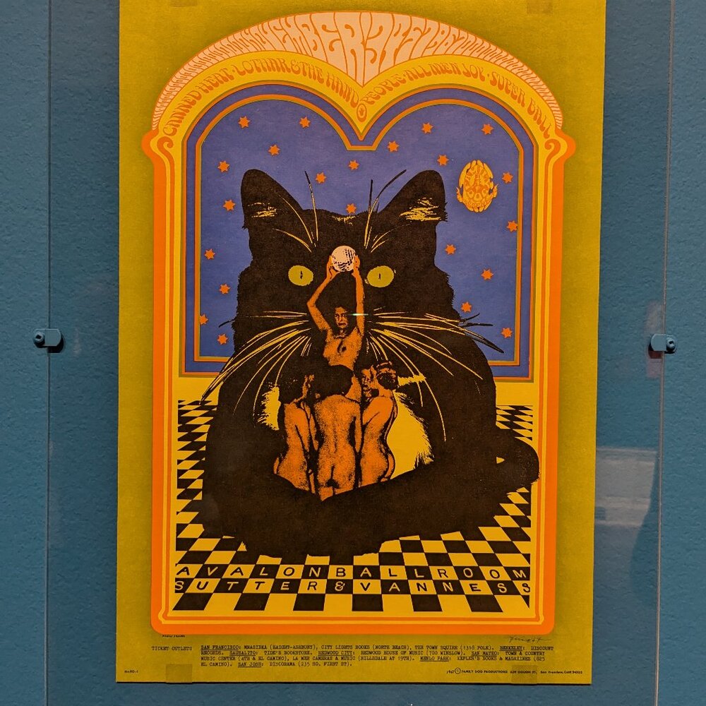 Meet your Posher, Maile